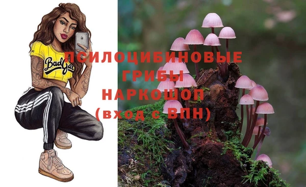 герыч Каменка