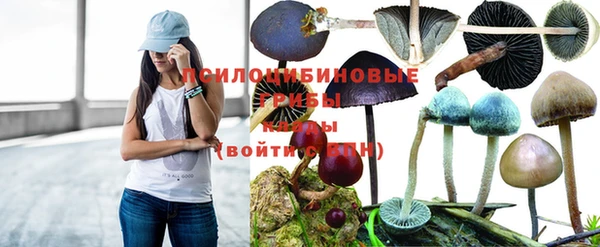 герыч Каменка