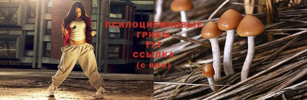 герыч Каменка
