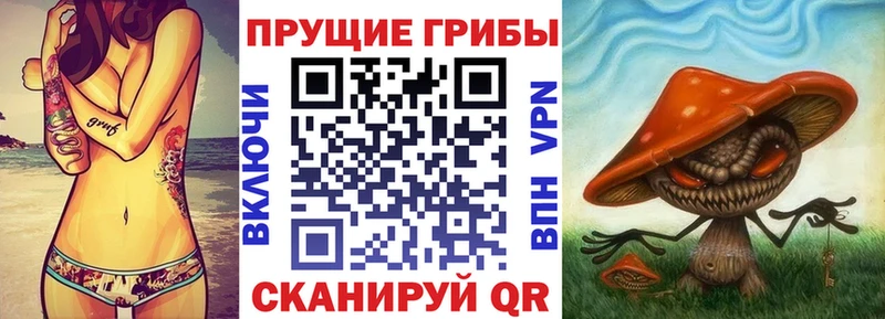Галлюциногенные грибы Psilocybine cubensis  Купить где  Данилов 
